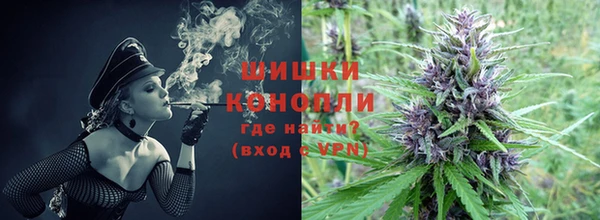 бошки Заводоуковск