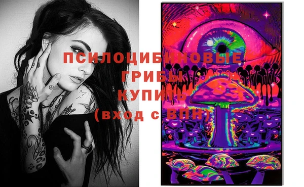 бошки Заводоуковск